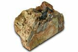 Free-Standing, Gary Green Jasper (Larsonite) Bog Wood - Oregon #370997-2